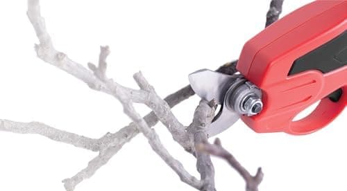 STREND PRO Akkuschnitte lle Baumbeschneider Teleskop |für einfach Garten und Baum Beschneiden| max. 22mm, 170cm Lang tel