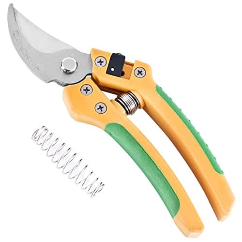 GRÜNTEK KONDOR Präzisionsschliff Astschere Amboss Ratschen-Gartenschere 200 mm - SK5-Klinge, Automatischer Ratschenmecha