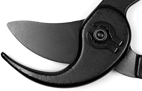 Toskana Astschere vorbeischneidend, kraftvoll, beste Reichweite, ideale Gärtner-Qualität 900.1