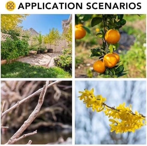Gisam Akku Gartenschere Gelb - Elektrische Astschere 40MM mit 2 x 2Ah Batterien & LCD Display - Hecken & Obstbaums Besch